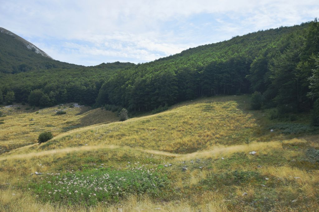 NP Paklenica